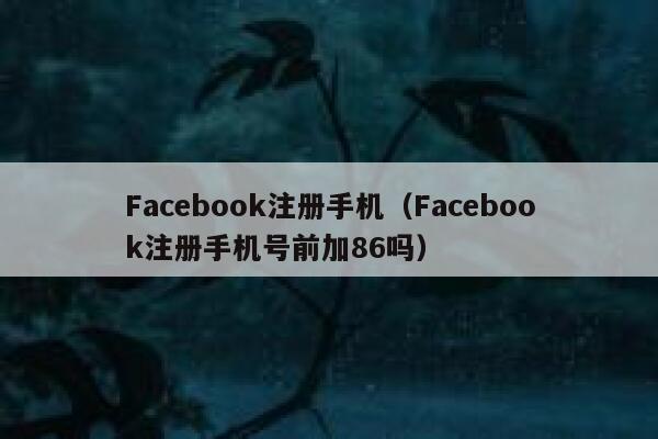 Facebook注册手机（Facebook注册手机号前加86吗） 第1张