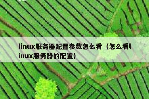 linux服务器配置参数怎么看（怎么看linux服务器的配置） 第1张