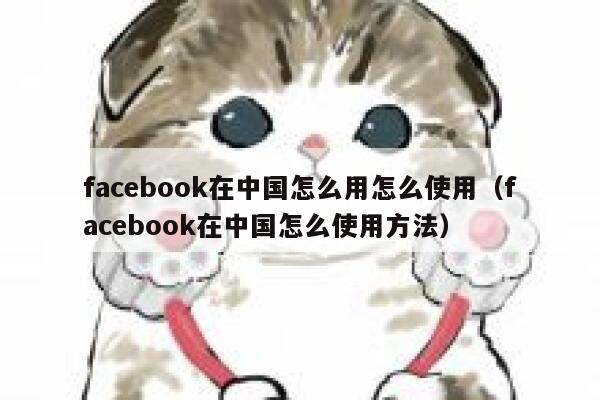 facebook在中国怎么用怎么使用（facebook在中国怎么使用方法） 第1张