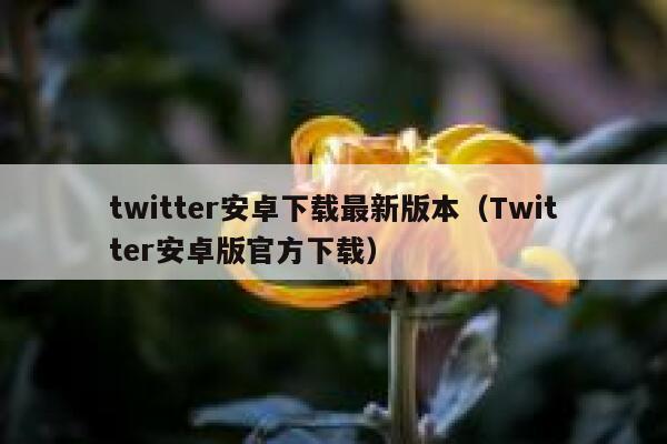 twitter安卓下载最新版本（Twitter安卓版官方下载） 第1张