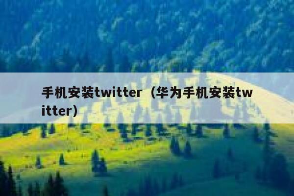 手机安装twitter（华为手机安装twitter） 第1张