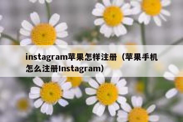 instagram苹果怎样注册（苹果手机怎么注册Instagram） 第1张