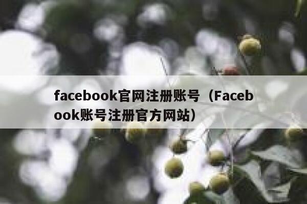 facebook官网注册账号（Facebook账号注册官方网站） 第1张
