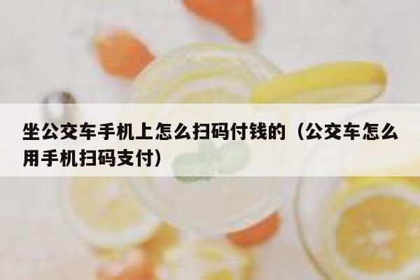 坐公交车手机上怎么扫码付钱的（公交车怎么用手机扫码支付） 第1张