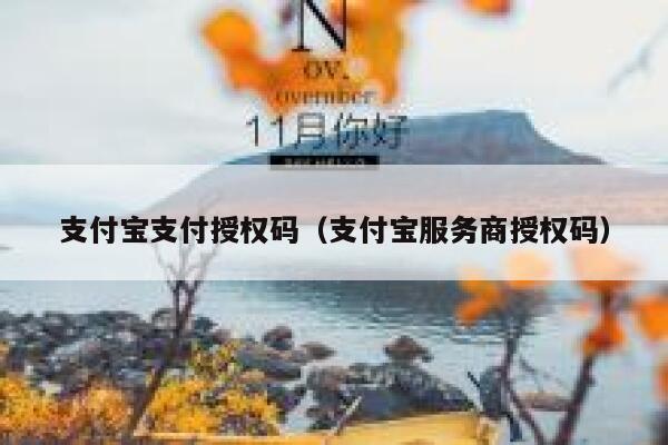 支付宝支付授权码（支付宝服务商授权码） 第1张