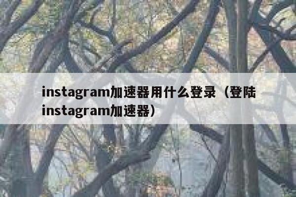 instagram加速器用什么登录（登陆instagram加速器） 第1张
