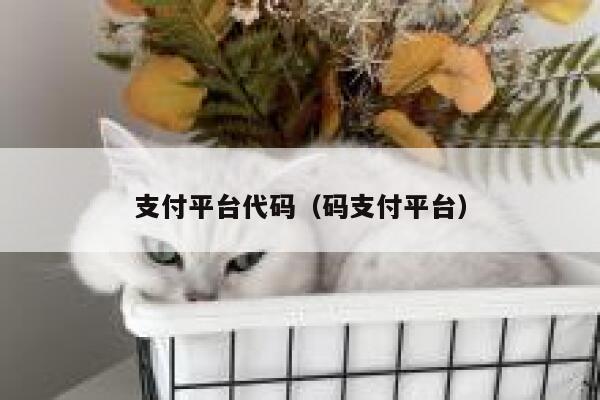 支付平台代码（码支付平台） 第1张