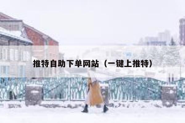 推特自助下单网站（一键上推特） 第1张