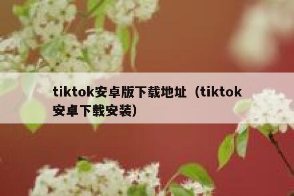 tiktok安卓版下载地址（tiktok安卓下载安装） 第1张