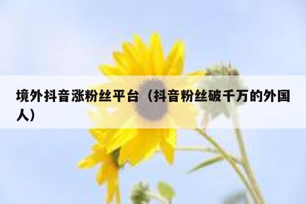 境外抖音涨粉丝平台（抖音粉丝破千万的外国人） 第1张