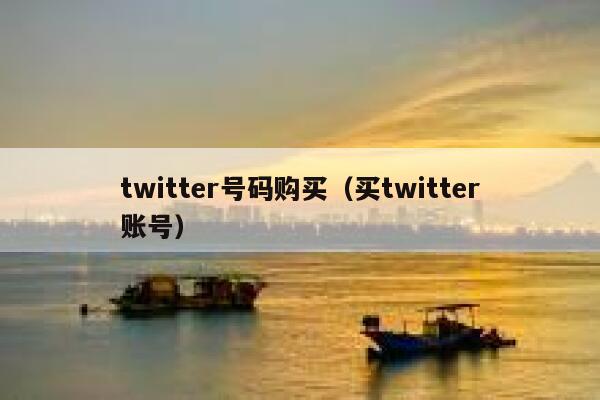 twitter号码购买（买twitter账号） 第1张