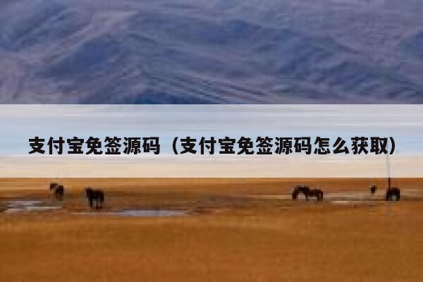 支付宝免签源码(支付宝免签源码怎么获取) 第1张 支付宝免签源码(支付宝免签源码怎么获取) 第1张