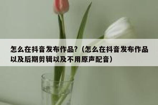 怎么在抖音发布作品?（怎么在抖音发布作品以及后期剪辑以及不用原声配音） 第1张