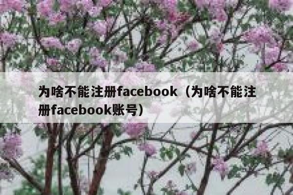 为啥不能注册facebook（为啥不能注册facebook账号） 第1张