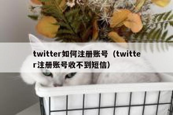 twitter如何注册账号（twitter注册账号收不到短信） 第1张