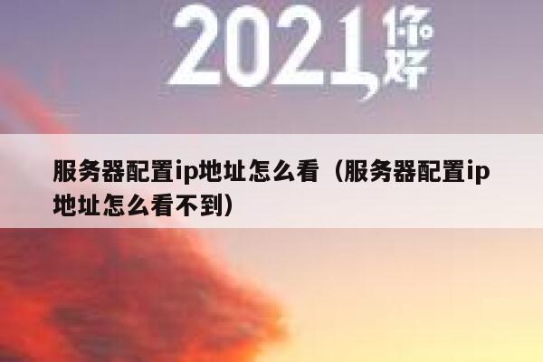 服务器配置ip地址怎么看（服务器配置ip地址怎么看不到） 第1张