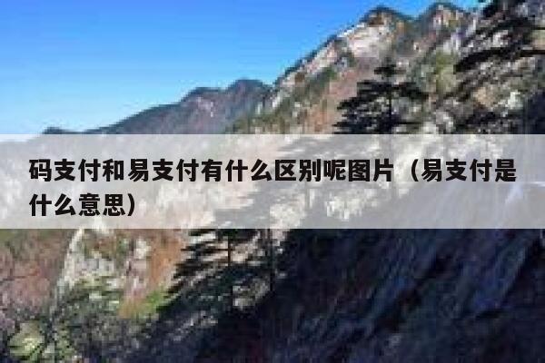 码支付和易支付有什么区别呢图片（易支付是什么意思） 第1张
