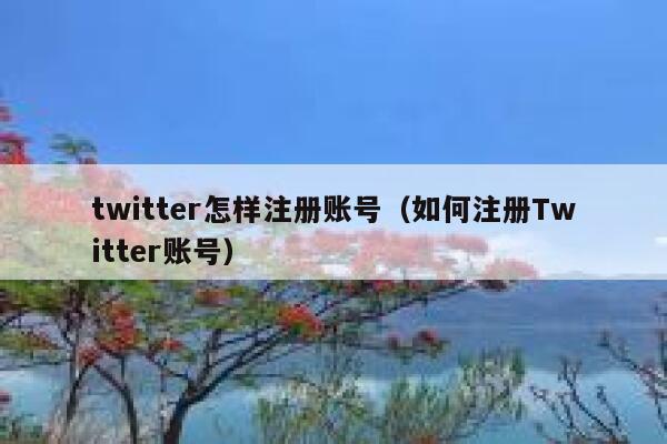 twitter怎样注册账号（如何注册Twitter账号） 第1张