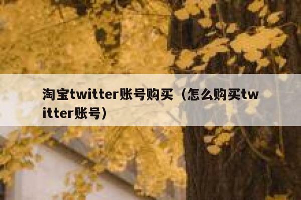 淘宝twitter账号购买(怎么购买twitter账号) 第1张 淘宝twitter账号购买(怎么购买twitter账号) 第1张