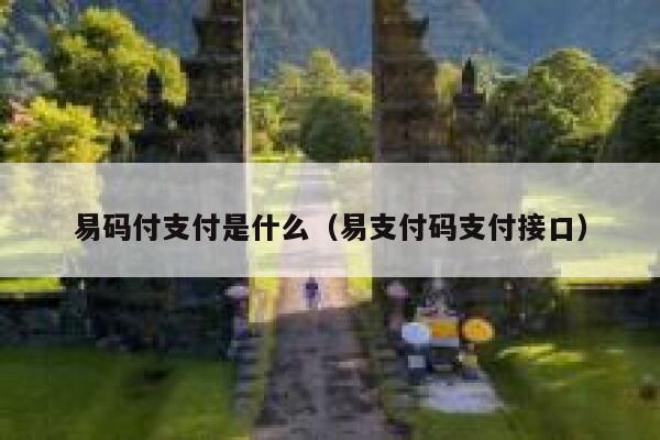 易码付支付是什么（易支付码支付接口） 第1张
