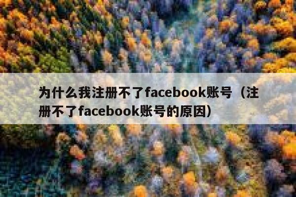 为什么我注册不了facebook账号(注册不了facebook账号的原因) 第1张 为什么我注册不了facebook账号(注册不了facebook账号的原因) 第1张
