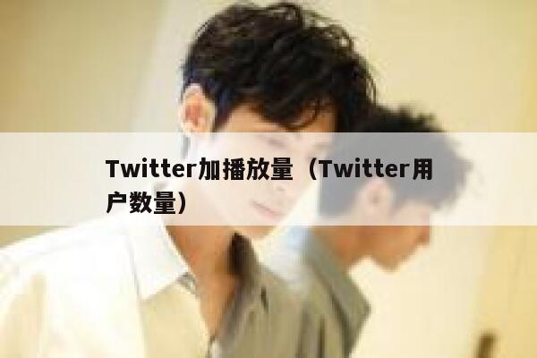 Twitter加播放量（Twitter用户数量） 第1张