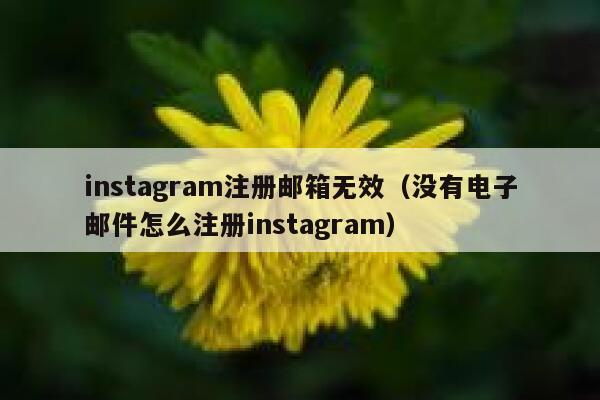 instagram注册邮箱无效（没有电子邮件怎么注册instagram） 第1张