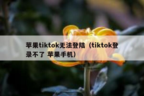 苹果tiktok无法登陆（tiktok登录不了 苹果手机） 第1张