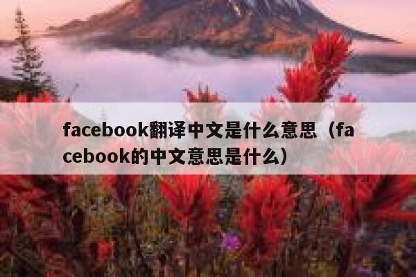 facebook翻译中文是什么意思（facebook的中文意思是什么） 第1张