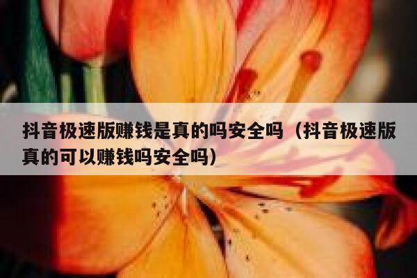 抖音极速版赚钱是真的吗安全吗（抖音极速版真的可以赚钱吗安全吗） 第1张