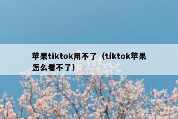 苹果tiktok用不了(tiktok苹果怎么看不了) 第1张 苹果tiktok用不了(tiktok苹果怎么看不了) 第1张