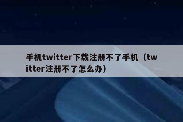 手机twitter下载注册不了手机（twitter注册不了怎么办） 第1张