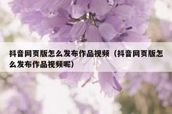 抖音网页版怎么发布作品视频（抖音网页版怎么发布作品视频呢） 第1张