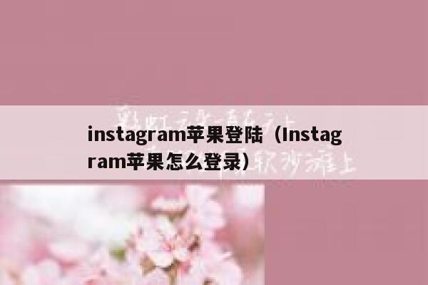 instagram苹果登陆(Instagram苹果怎么登录) 第1张 instagram苹果登陆(Instagram苹果怎么登录) 第1张