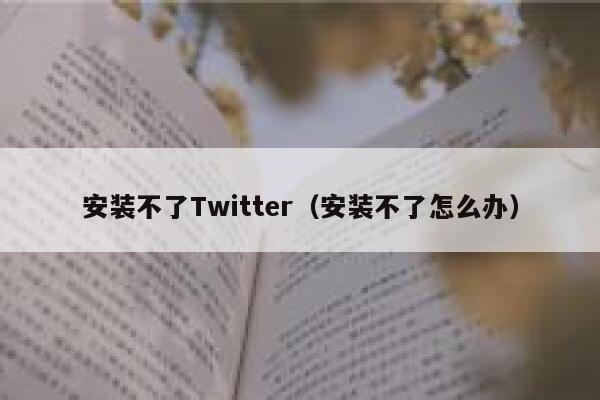 安装不了Twitter(安装不了怎么办) 第1张 安装不了Twitter(安装不了怎么办) 第1张