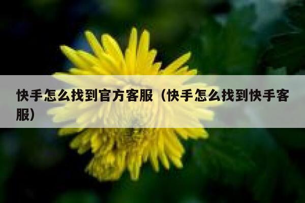 快手怎么找到官方客服（快手怎么找到快手客服） 第1张