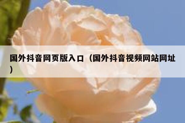 国外抖音网页版入口（国外抖音视频网站网址） 第1张