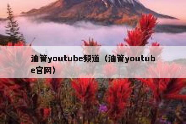 油管youtube频道（油管youtube官网） 第1张