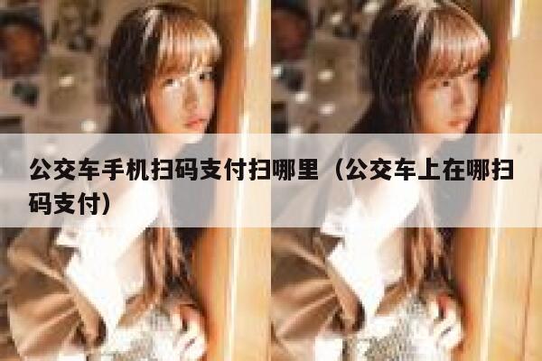 公交车手机扫码支付扫哪里（公交车上在哪扫码支付） 第1张