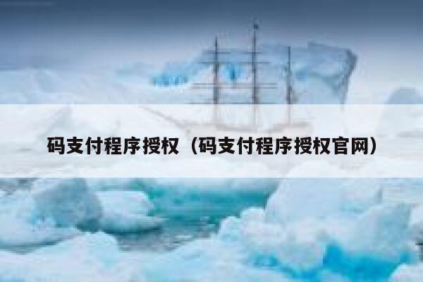 码支付程序授权（码支付程序授权官网） 第1张