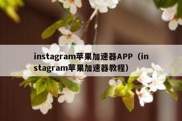 instagram苹果加速器APP(instagram苹果加速器教程) 第1张 instagram苹果加速器APP(instagram苹果加速器教程) 第1张