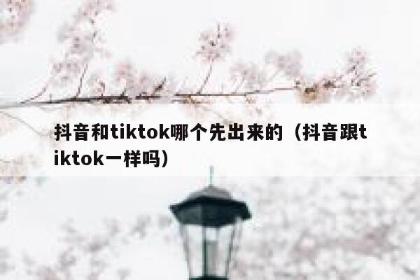 抖音和tiktok哪个先出来的(抖音跟tiktok一样吗) 第1张 抖音和tiktok哪个先出来的(抖音跟tiktok一样吗) 第1张