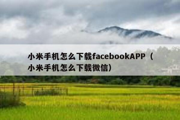小米手机怎么下载facebookAPP(小米手机怎么下载微信) 第1张 小米手机怎么下载facebookAPP(小米手机怎么下载微信) 第1张