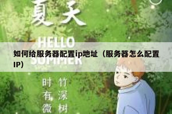 如何给服务器配置ip地址（服务器怎么配置IP） 第1张