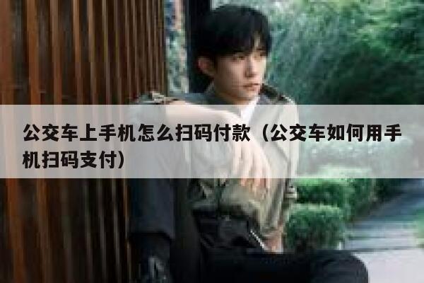 公交车上手机怎么扫码付款（公交车如何用手机扫码支付） 第1张