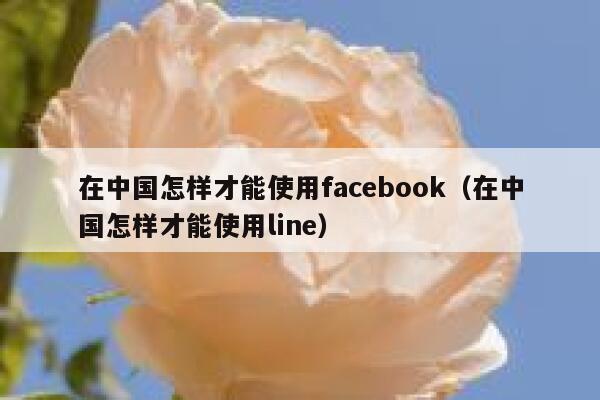 在中国怎样才能使用facebook(在中国怎样才能使用line) 第1张 在中国怎样才能使用facebook(在中国怎样才能使用line) 第1张
