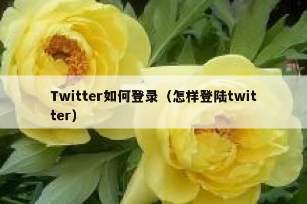 Twitter如何登录（怎样登陆twitter） 第1张
