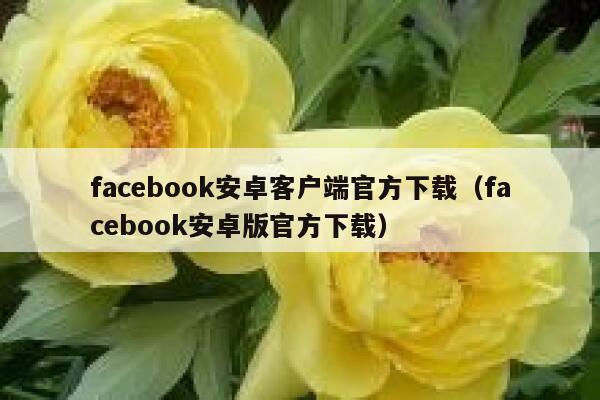 facebook安卓客户端官方下载（facebook安卓版官方下载） 第1张
