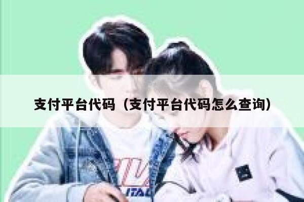 支付平台代码(支付平台代码怎么查询) 第1张 支付平台代码(支付平台代码怎么查询) 第1张