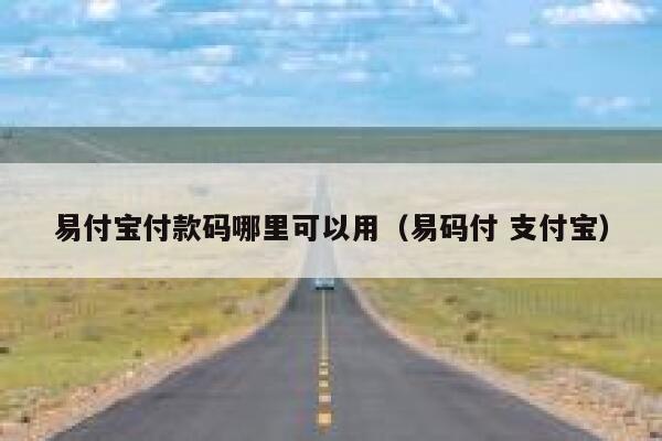 易付宝付款码哪里可以用(易码付 支付宝) 第1张 易付宝付款码哪里可以用(易码付 支付宝) 第1张
